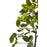Deco plante 57606 - Olla Vert - Lot de 1