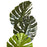 Deco plante 57603 - Olla Vert - Lot de 1