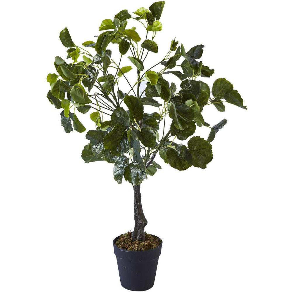 Deco plante 57606 - Olla Vert - Lot de 1