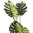 Deco plante 57604 - Olla Vert - Lot de 1