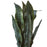 Deco plante 57601 - Olla Vert - Lot de 1