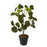 Deco plante 57605 - Olla Vert - Lot de 1